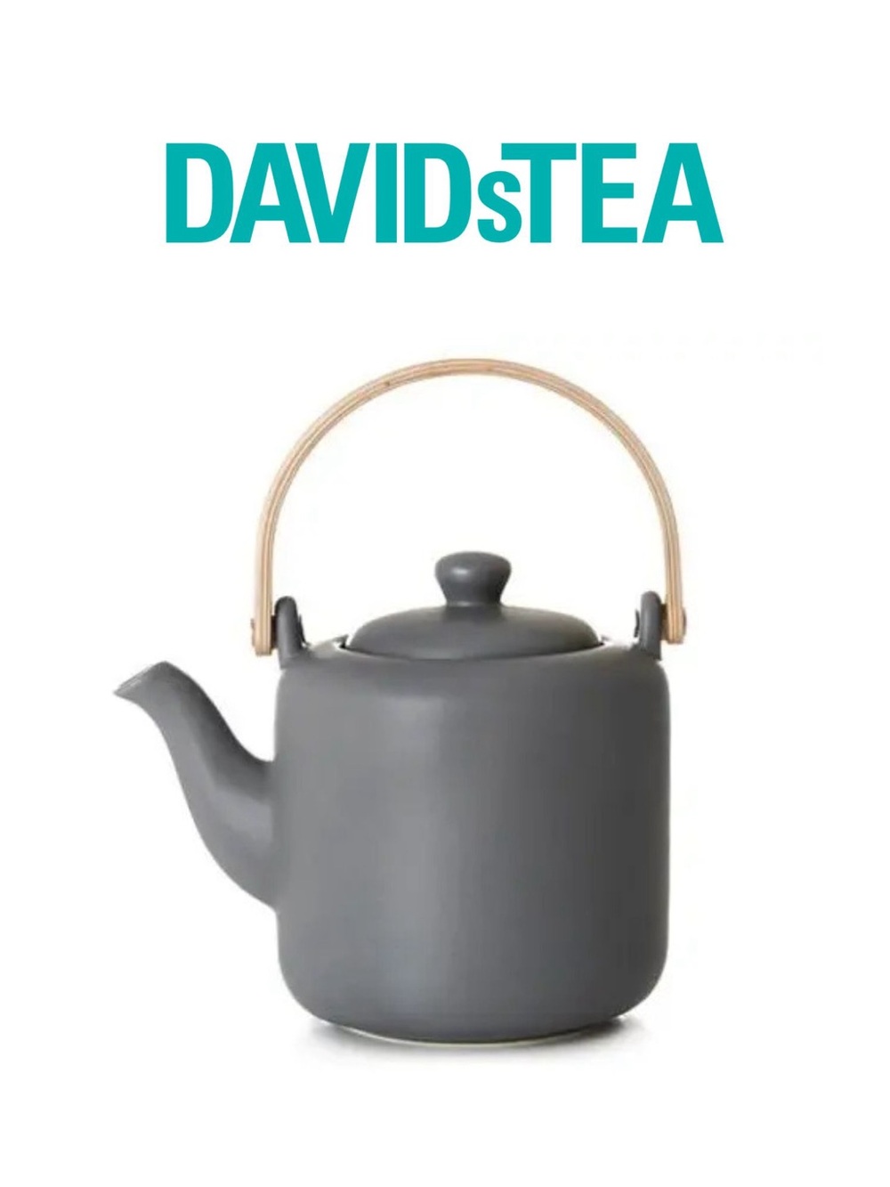 DavidsTea Tomi Teapot With Infuser